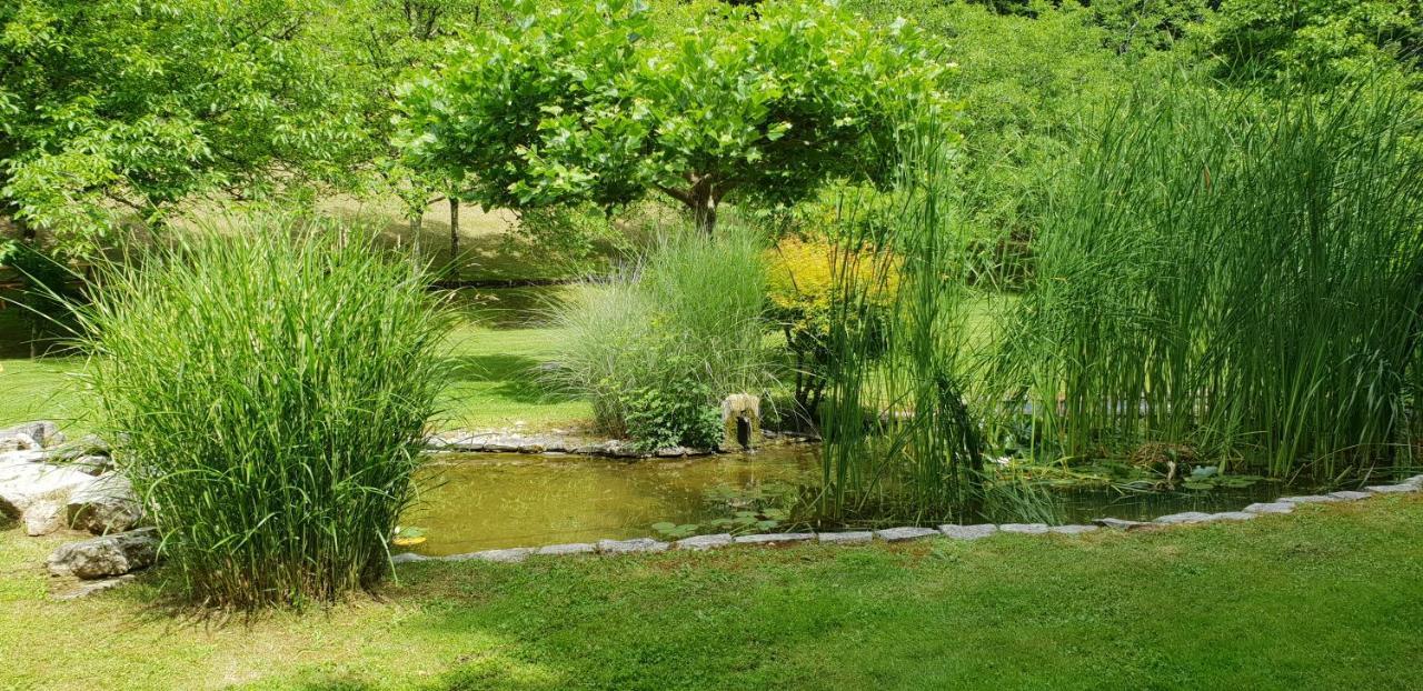 Le DOMAINE de MERLANDE -demeure de charme avec piscine chauffée La Lande  Exterior foto